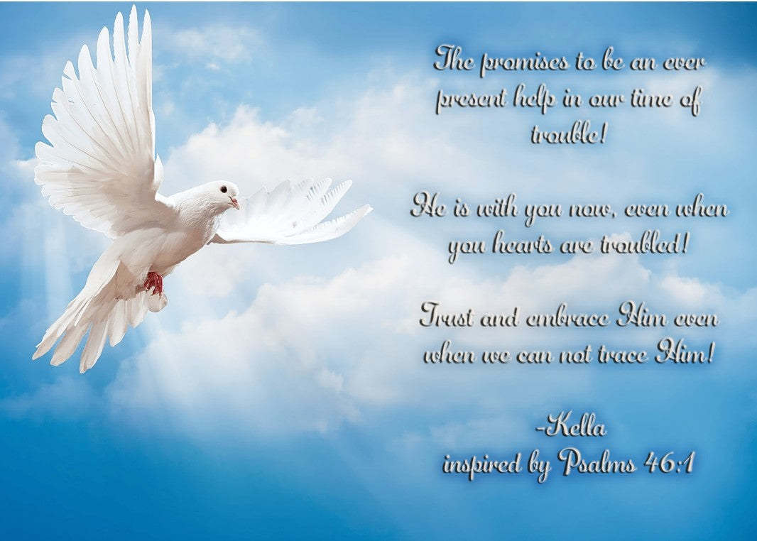 Peaceful Dove Sympathy Card